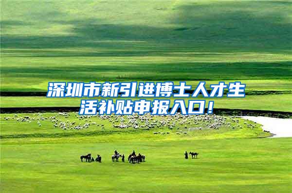 深圳市新引进博士人才生活补贴申报入口！
