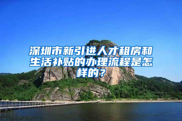 深圳市新引进人才租房和生活补贴的办理流程是怎样的？
