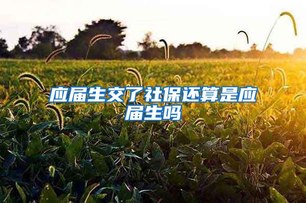 应届生交了社保还算是应届生吗