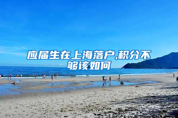应届生在上海落户,积分不够该如何