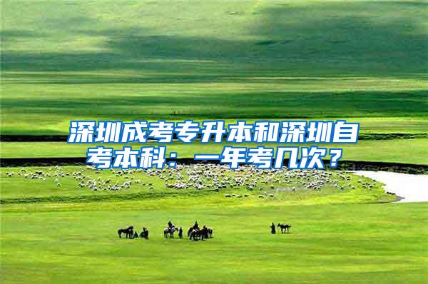 深圳成考专升本和深圳自考本科：一年考几次？