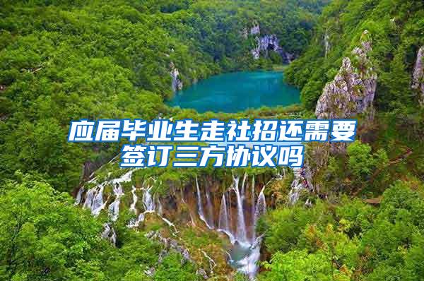 应届毕业生走社招还需要签订三方协议吗