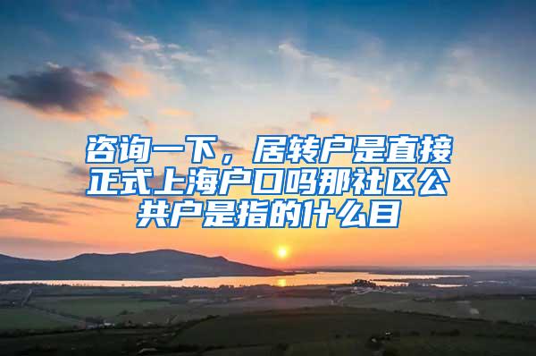 咨询一下，居转户是直接正式上海户口吗那社区公共户是指的什么目