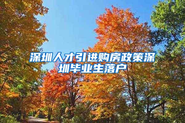 深圳人才引进购房政策深圳毕业生落户