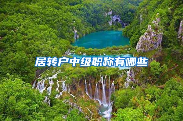 居转户中级职称有哪些