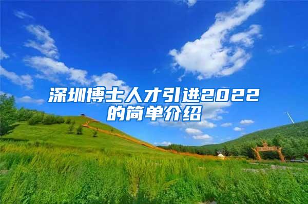 深圳博士人才引进2022的简单介绍