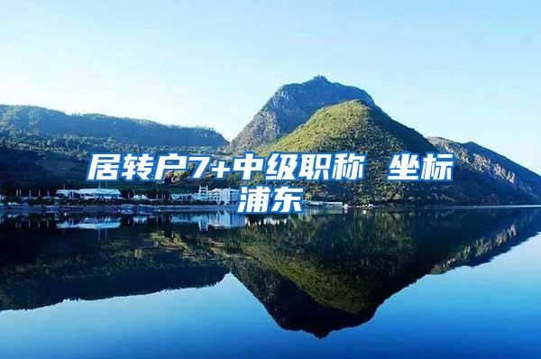 居转户7+中级职称 坐标浦东