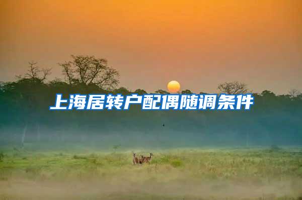 上海居转户配偶随调条件