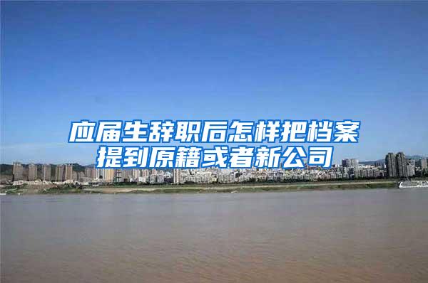 应届生辞职后怎样把档案提到原籍或者新公司