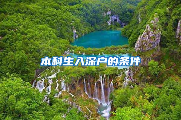 本科生入深户的条件