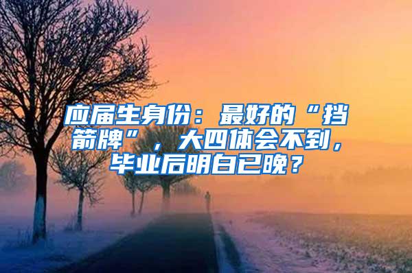 应届生身份：最好的“挡箭牌”，大四体会不到，毕业后明白已晚？