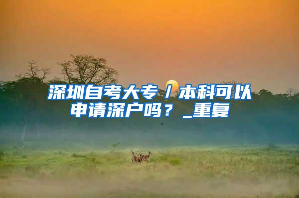 深圳自考大专／本科可以申请深户吗？_重复