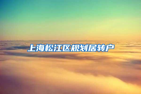 上海松江区规划居转户