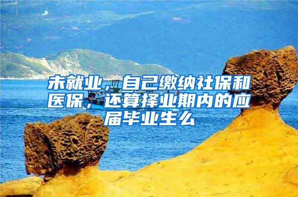 未就业，自己缴纳社保和医保，还算择业期内的应届毕业生么