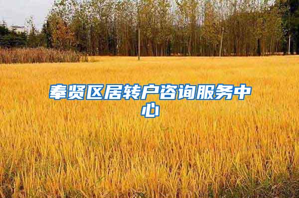 奉贤区居转户咨询服务中心