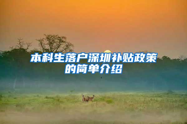本科生落户深圳补贴政策的简单介绍