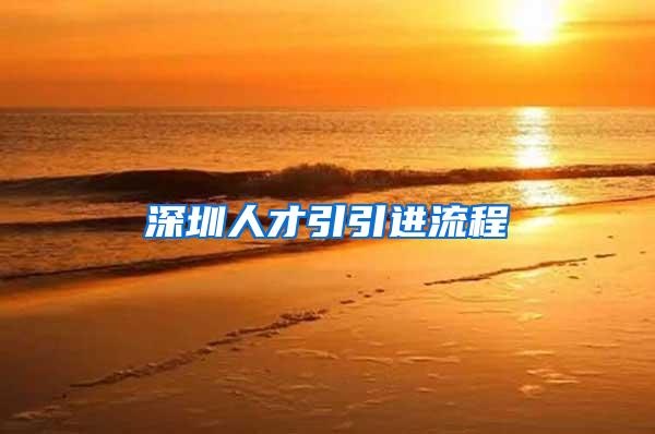 深圳人才引引进流程