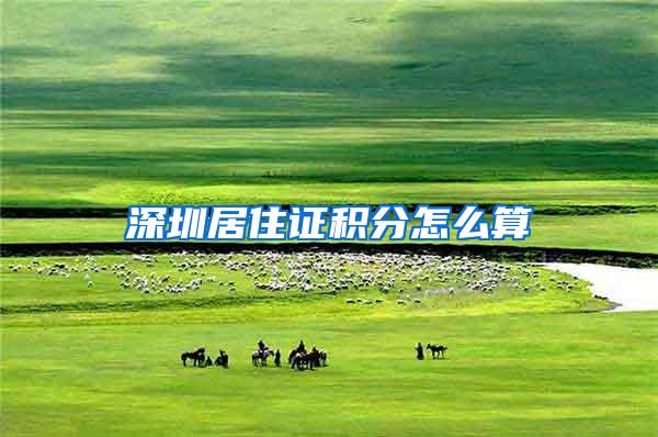 深圳居住证积分怎么算