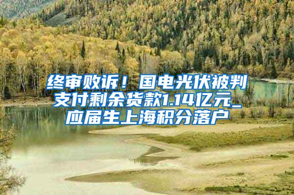终审败诉！国电光伏被判支付剩余货款1.14亿元_应届生上海积分落户