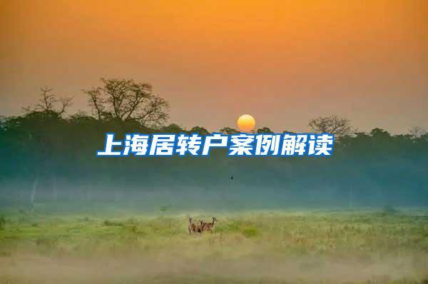 上海居转户案例解读