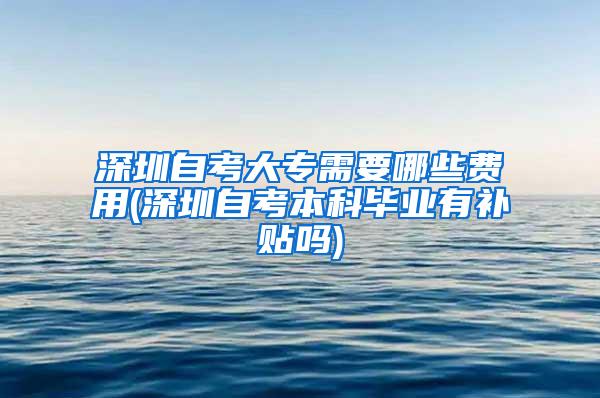 深圳自考大专需要哪些费用(深圳自考本科毕业有补贴吗)