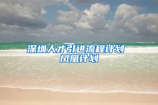 深圳人才引进流程计划 凤凰计划