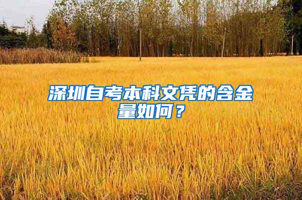 深圳自考本科文凭的含金量如何？