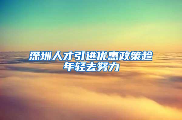 深圳人才引进优惠政策趁年轻去努力