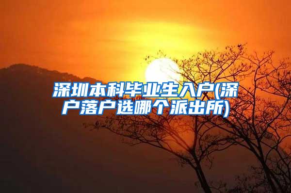 深圳本科毕业生入户(深户落户选哪个派出所)
