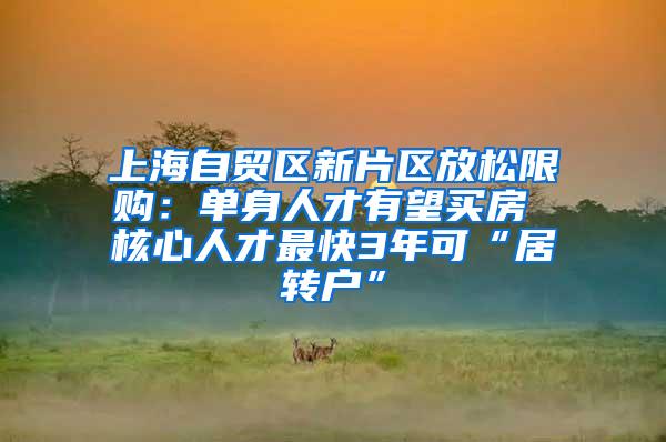上海自贸区新片区放松限购：单身人才有望买房 核心人才最快3年可“居转户”