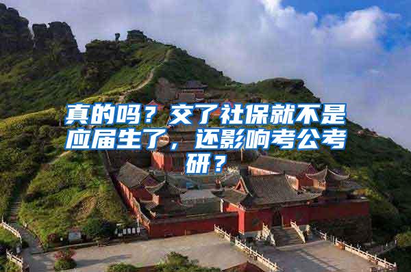 真的吗？交了社保就不是应届生了，还影响考公考研？
