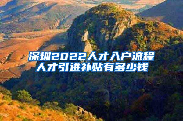 深圳2022人才入户流程人才引进补贴有多少钱