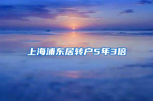 上海浦东居转户5年3倍