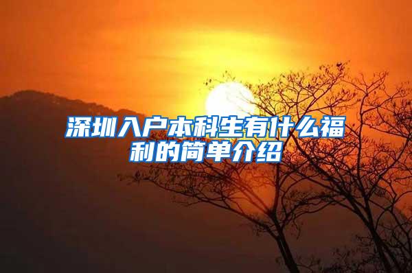 深圳入户本科生有什么福利的简单介绍