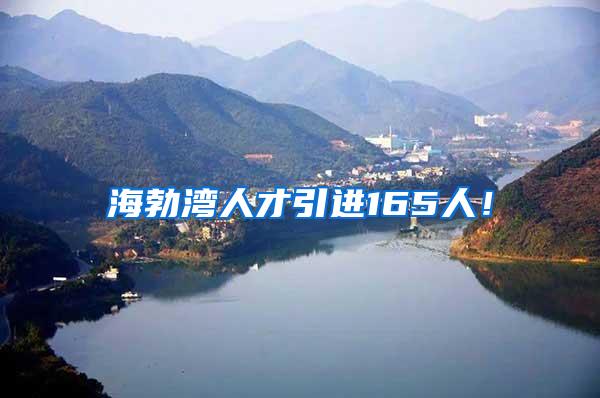 海勃湾人才引进165人！