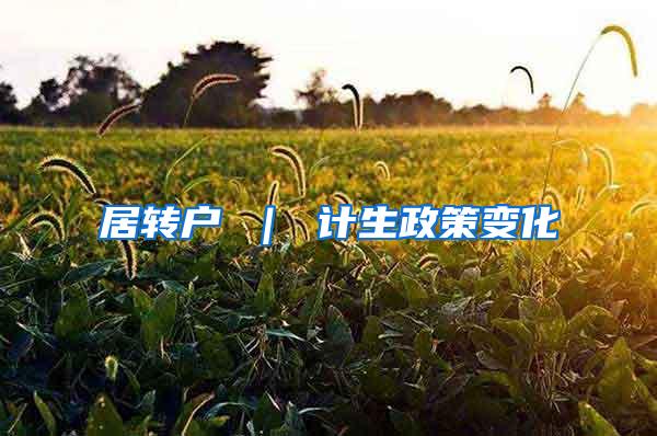 居转户 ｜ 计生政策变化