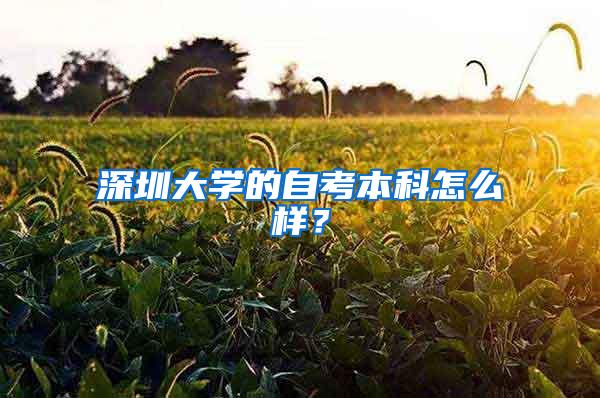 深圳大学的自考本科怎么样？