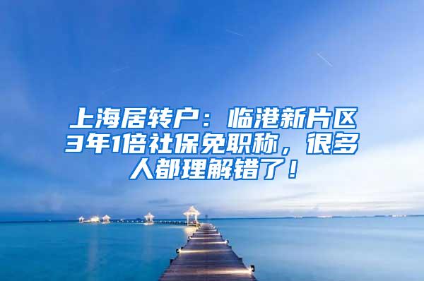 上海居转户：临港新片区3年1倍社保免职称，很多人都理解错了！