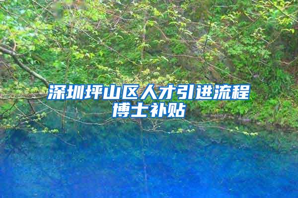 深圳坪山区人才引进流程博士补贴