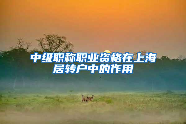 中级职称职业资格在上海居转户中的作用