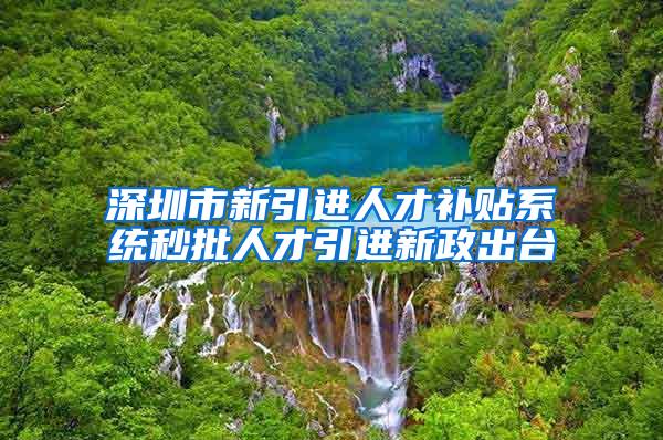 深圳市新引进人才补贴系统秒批人才引进新政出台