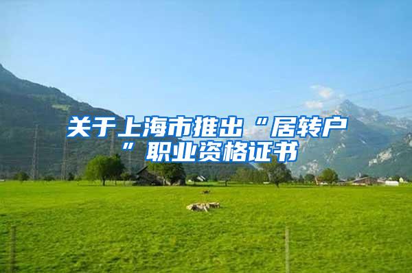 关于上海市推出“居转户”职业资格证书