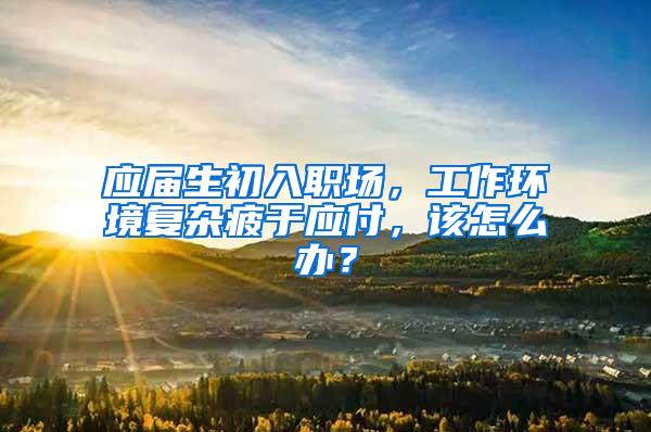 应届生初入职场，工作环境复杂疲于应付，该怎么办？
