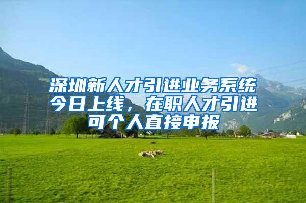 深圳新人才引进业务系统今日上线，在职人才引进可个人直接申报