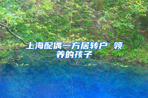 上海配偶一方居转户 领养的孩子