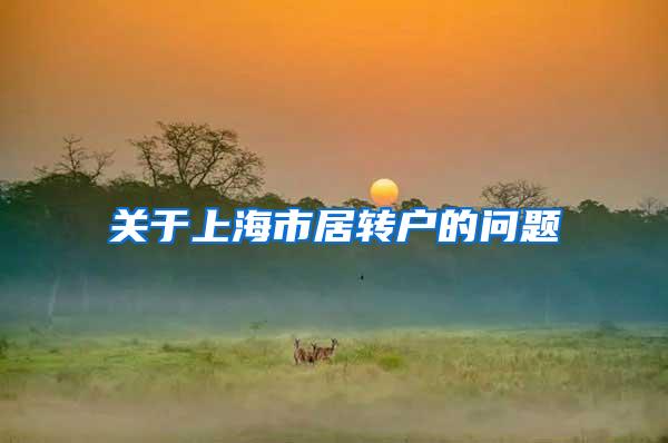 关于上海市居转户的问题