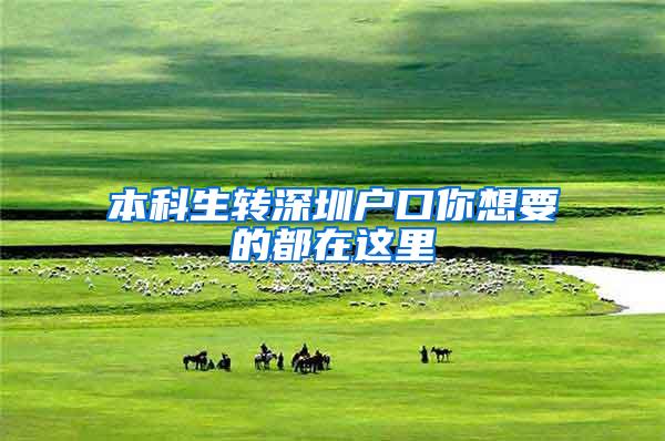 本科生转深圳户口你想要的都在这里