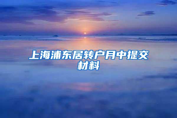 上海浦东居转户月中提交材料