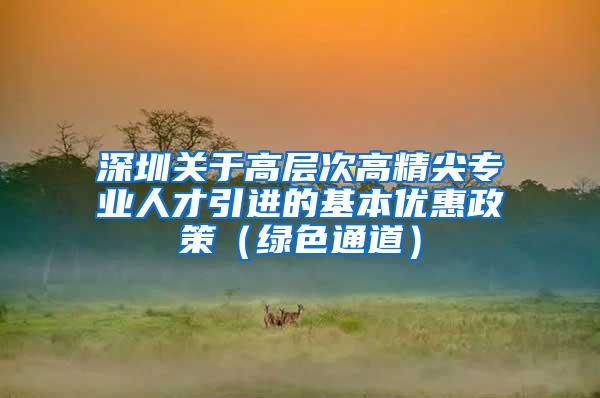 深圳关于高层次高精尖专业人才引进的基本优惠政策（绿色通道）