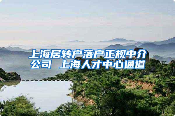 上海居转户落户正规中介公司 上海人才中心通道
